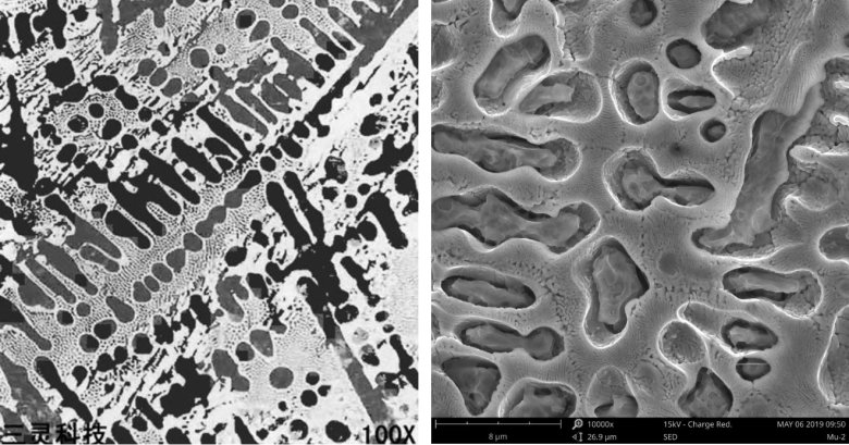 图 1 金相样品光学显微镜图像 (左) 和扫描电镜图像 (右)
