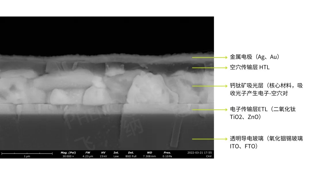 钙钛矿电池断面扫描电镜图
